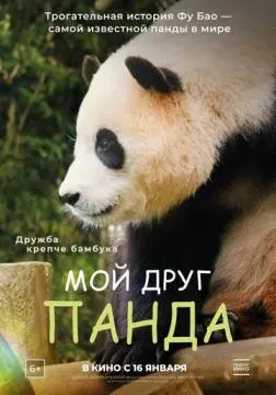 Мой друг панда онлайн