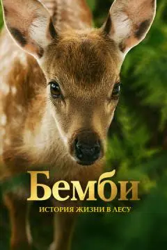 Бемби. История жизни в лесу онлайн