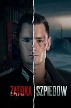 Шпионский залив онлайн